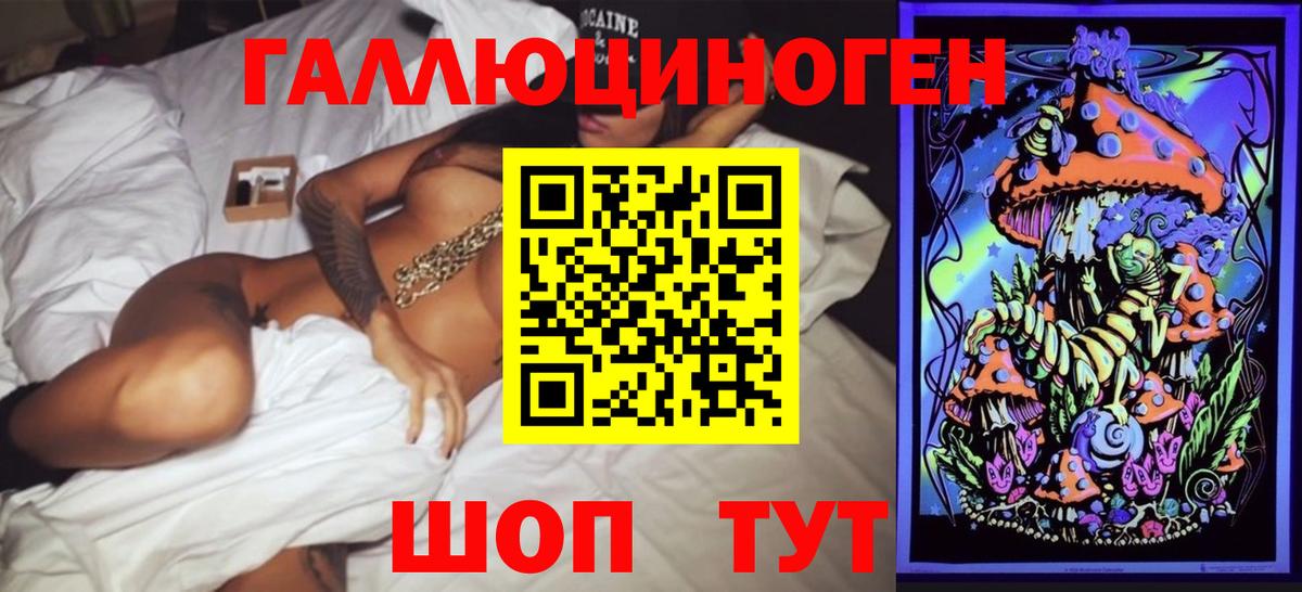 Псилоцибиновые грибы Psilocybine cubensis Ахтубинск