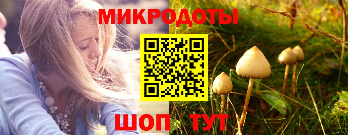Галлюциногенные грибы Cubensis  Вход с VPN  Ахтубинск 